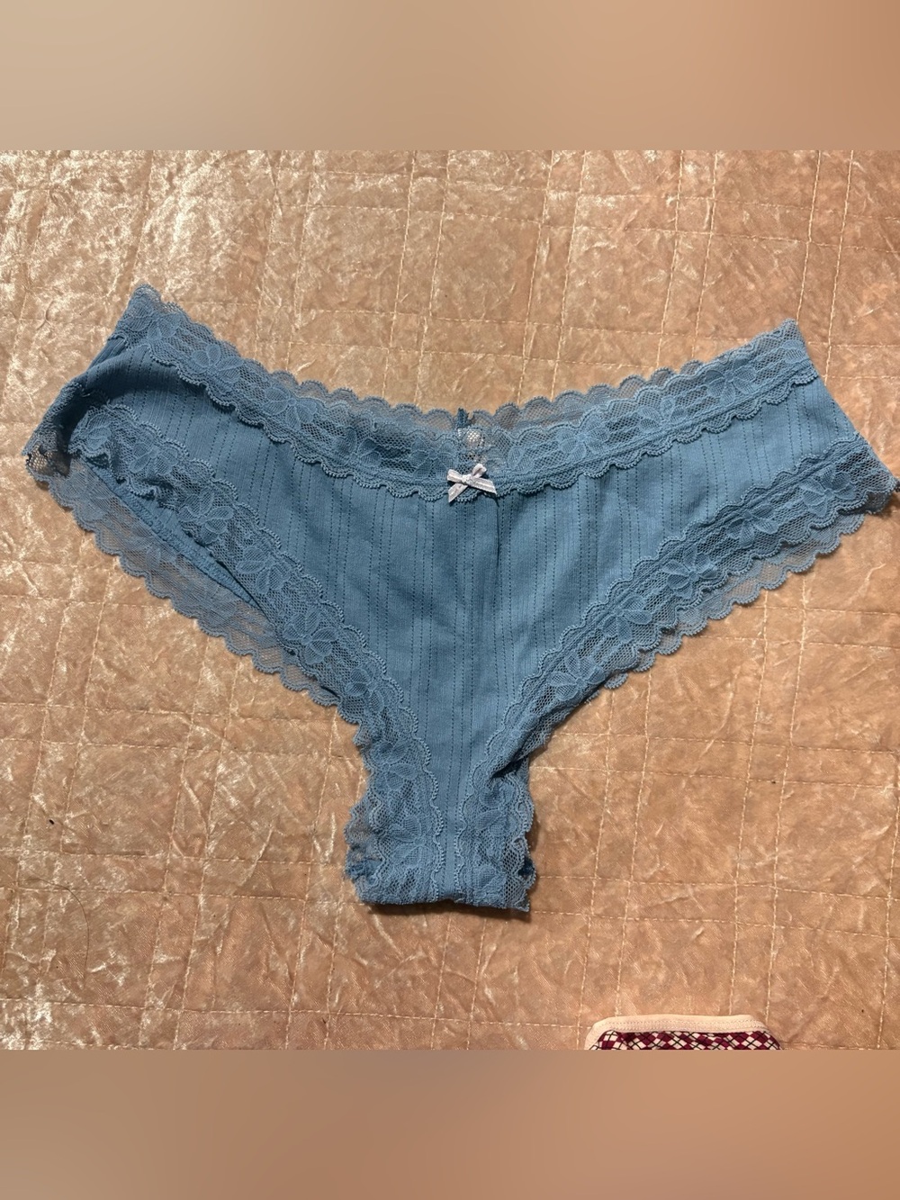 Victoria's Secret Blue Lace-Trim Hipster Panty